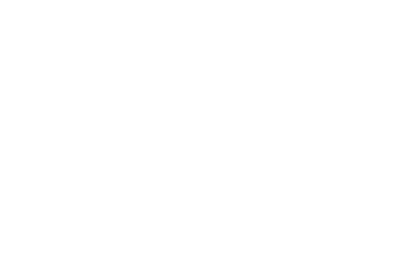 Veteran-Owned Business